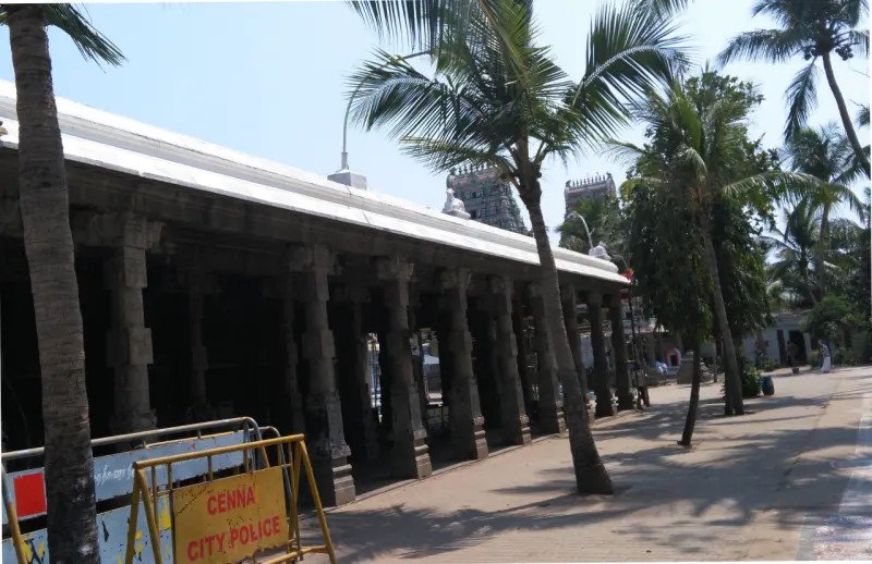 A long stone pillared corridor lined with palm trees, with towers visible beyond.