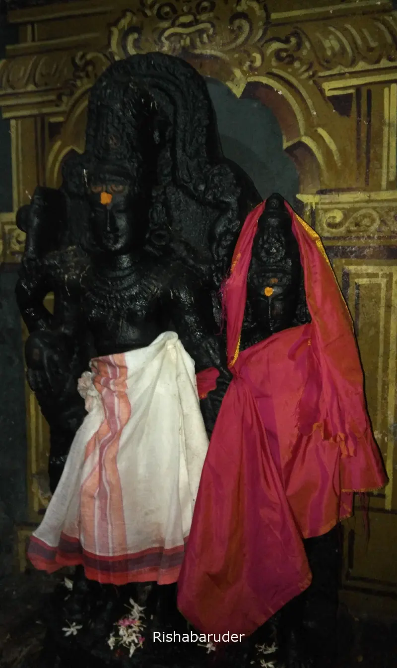 Two black stone deities draped in white and red cloth