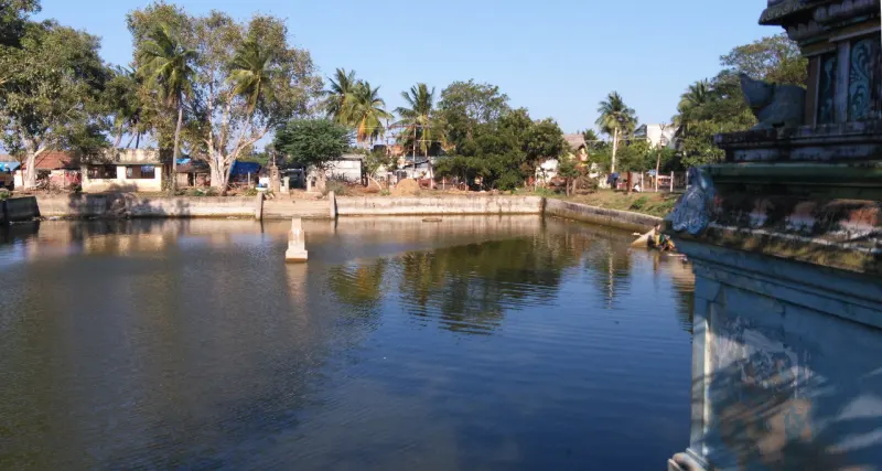 Still green-blue tank with a stone wall, palms and houses on the far bank