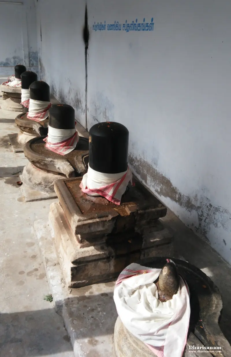 Black lingams with white cloth bands on stone bases lined along a white corridor wall