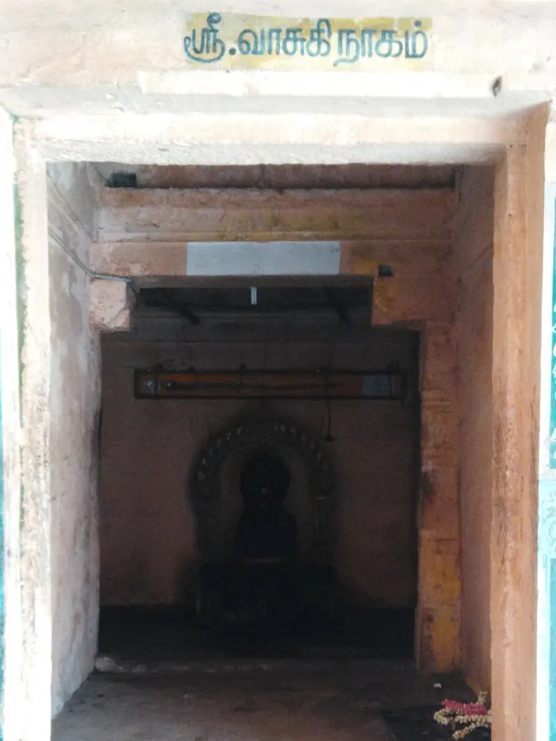 A dim shrine under a board reading Sri Vasuki Nagam, with a dark idol under an arch and flowers at the doorway.