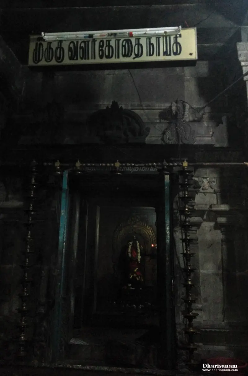 Goddess idol in a dark sanctum under a Tamil name board, flanked by lamps