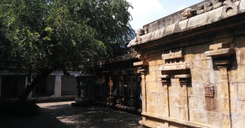 Sunlit stone corridor wall beside a courtyard with a large tree and small shrines