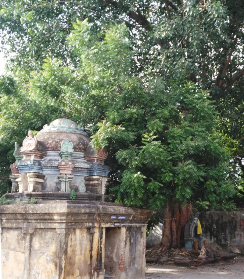 A small domed shrine on a stone platform under a tall leafy tree, with a statue at the tree base