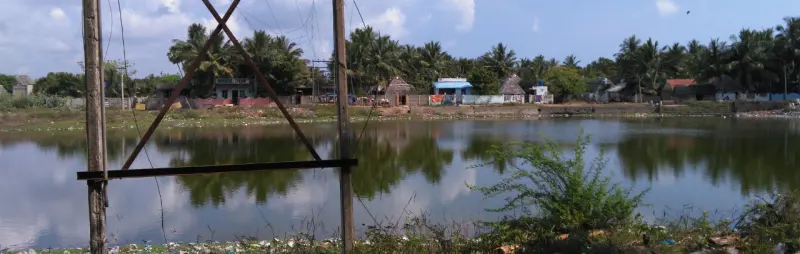 A wide pond with houses and coconut palms along the far bank