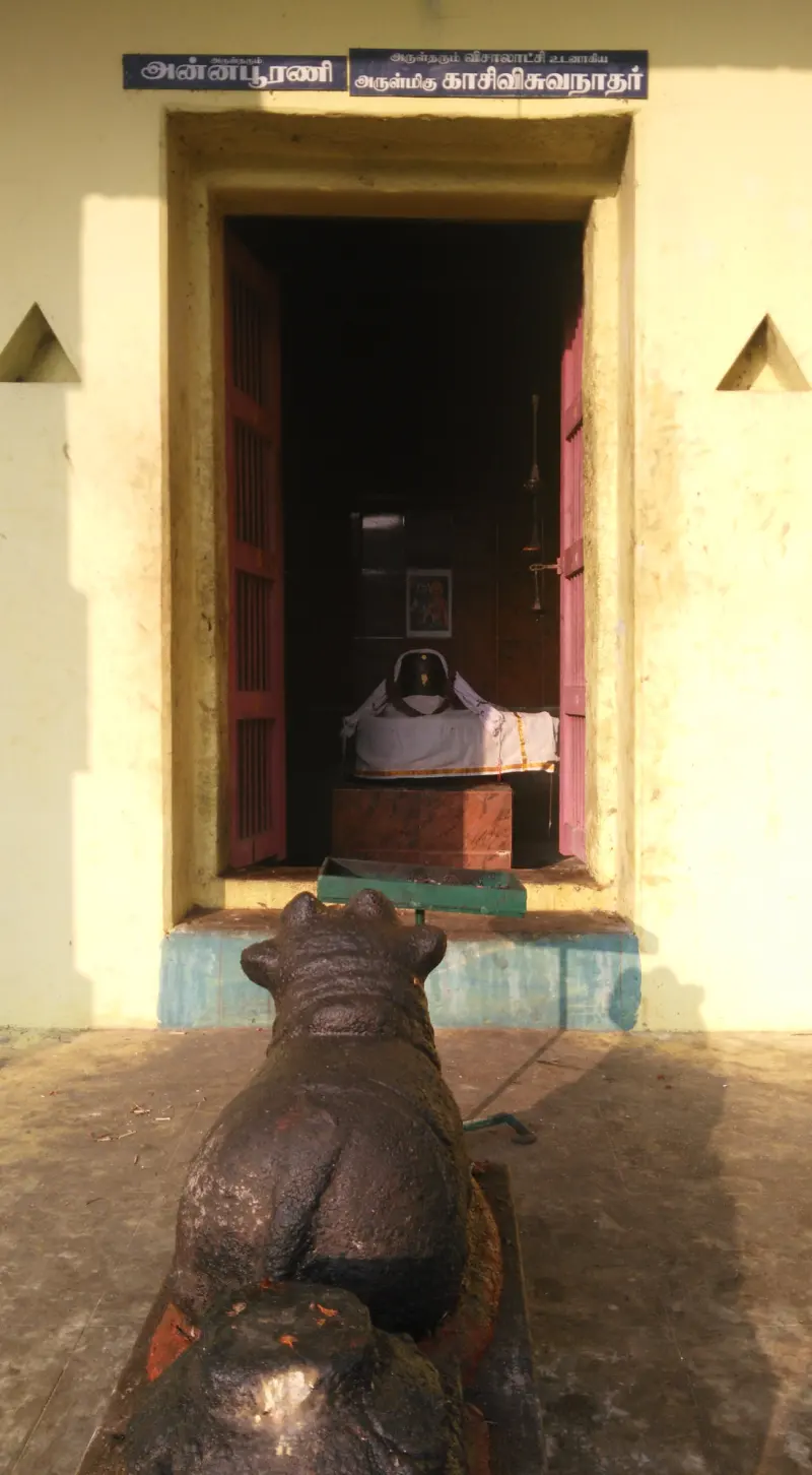 A Nandi before a doorway with Kasi Viswanathar boards, lingam within